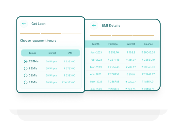 Customizable repayment plans
