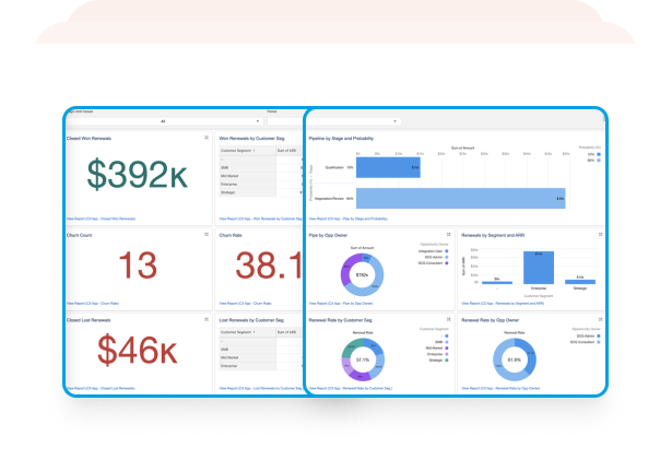 Dynamic Reporting Dashboards